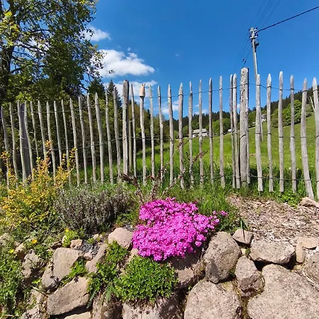 Waldfee Schluchsee