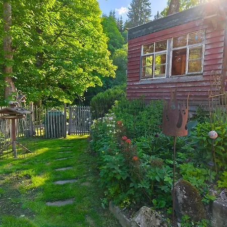 Waldfee Schluchsee