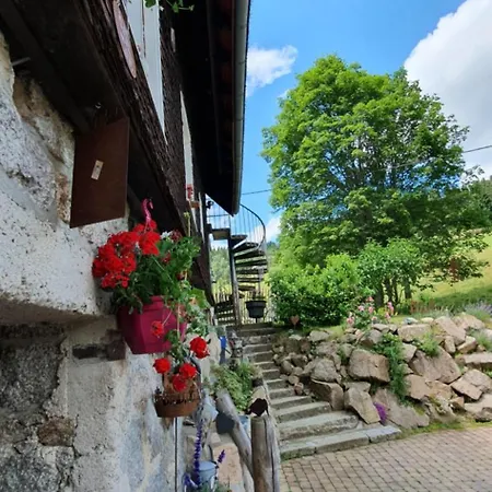 Apartament Waldfee *