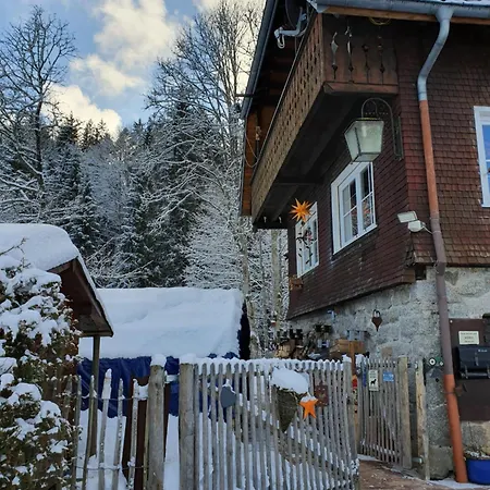 Waldfee *