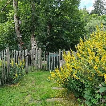 Waldfee Apartament Schluchsee